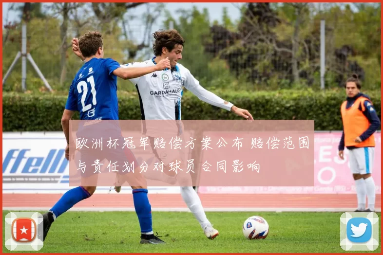 欧洲杯冠军赔偿方案公布 赔偿范围与责任划分对球员合同影响