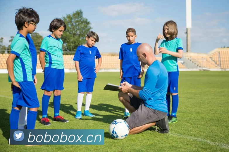 App Interface Preview