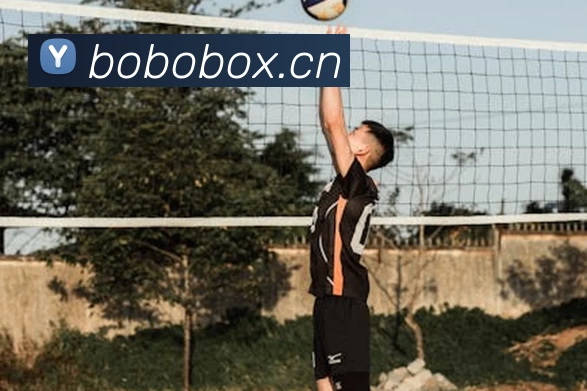 mg不朽情缘试玩网站(中国)官方网站登录入口APP 封面图